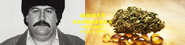MESCALINE Алзамай