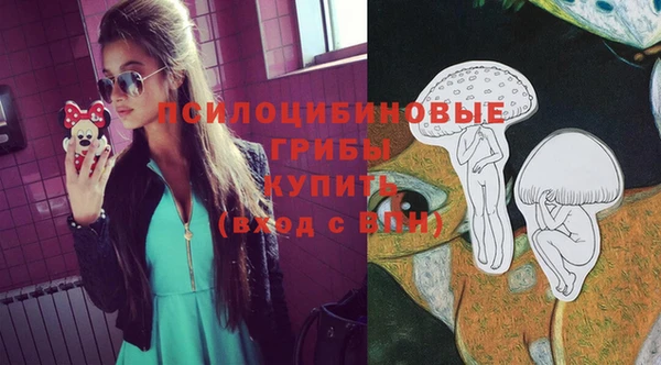 эйфоретик Алексин