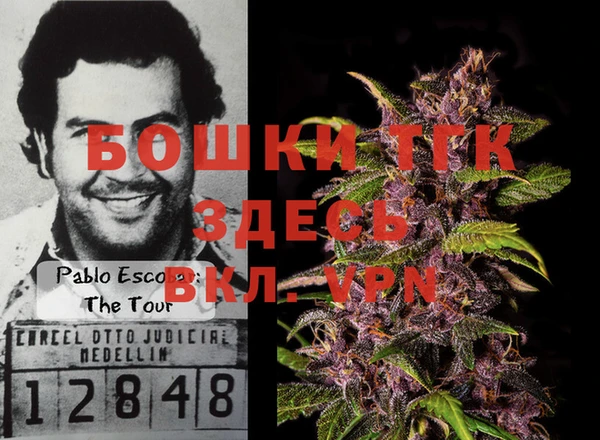 эйфоретик Алексин