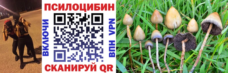 Псилоцибиновые грибы Magic Shrooms  Калтан 